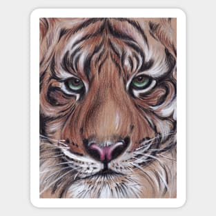 Tyger Tyger Burning Bright - Mixed Media Painting Sticker